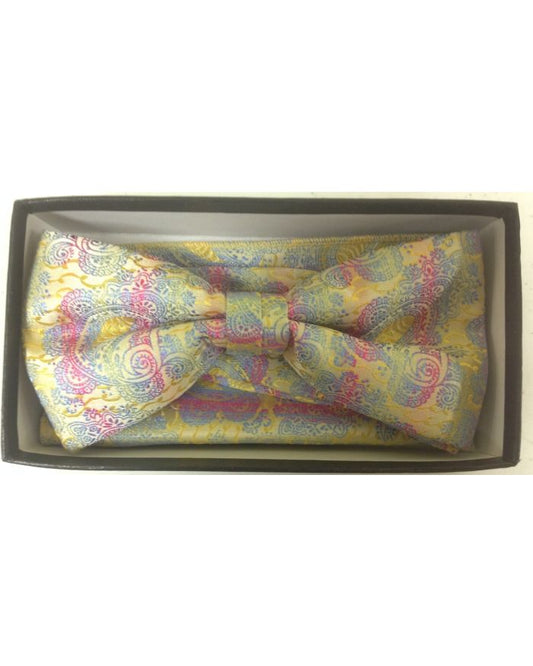 Men's Multicolor Xtreme Fashion Paisley Bow Tie